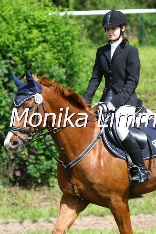 005M4506_Ricodero_Stil A.JPG